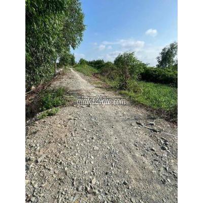 Mua Bán Đất Huyện Bến Lức - Long An Kênh Cá Ngựa Rẽ Vào 100m. Đất Vườn Có Nền Cao Mua Bán Đất Huyện Bến Lức - Long An Kênh Cá Ngựa Rẽ Vào 100m. Đất Vườn Có Nền Cao