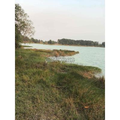 Mua Bán Đất Huyện Đức Hòa - Long An Đất 3000m2, Bàu Công , Đức Hoà Long An Mua Bán Đất Huyện Đức Hòa - Long An Đất 3000m2, Bàu Công , Đức Hoà Long An