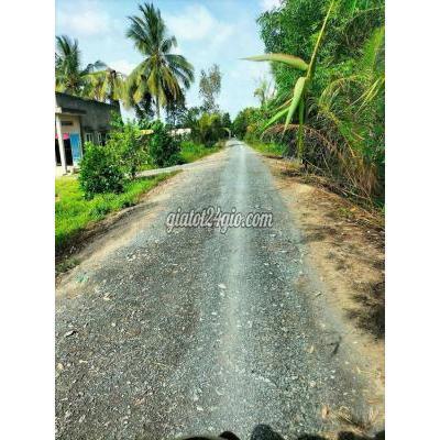 Mua Bán Đất Huyện Thủ Thừa - Long An 880tr Sở Hữu 1000m2 Đất Vườn Dừa, View Kênh Tuyệt Đẹp Mua Bán Đất Huyện Thủ Thừa - Long An 880tr Sở Hữu 1000m2 Đất Vườn Dừa, View Kênh Tuyệt Đẹp