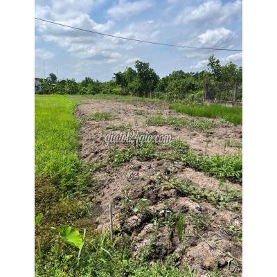 Mua Bán Đất Huyện Tân Trụ - Long An 290mv Mặt Nhựa, Ngang6m. Thuộc Bình Lãng- Tân Trụ - Long An Mua Bán Đất Huyện Tân Trụ - Long An 290mv Mặt Nhựa, Ngang6m. Thuộc Bình Lãng- Tân Trụ - Long An
