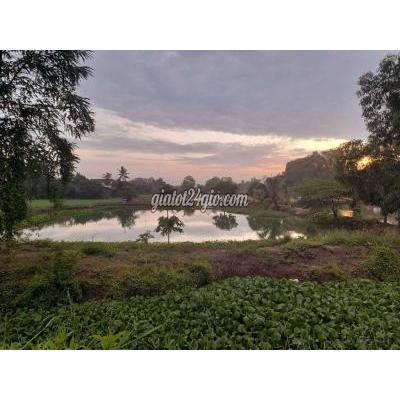 Mua Bán Đất Huyện Cần Giuộc - Long An Đất Vườn Chuyển Thổ 500m2 , Kdc Mỹ Lộc, Cần Giuộc 1.7 Tỷ Mua Bán Đất Huyện Cần Giuộc - Long An Đất Vườn Chuyển Thổ 500m2 , Kdc Mỹ Lộc, Cần Giuộc 1.7 Tỷ