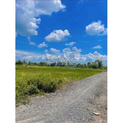 Mua Bán Đất Huyện Cần Đước - Long An Thanh Lý Đất Thổ Cư Sổ Riêng Điện Em Liền Mua Bán Đất Huyện Cần Đước - Long An Thanh Lý Đất Thổ Cư Sổ Riêng Điện Em Liền
