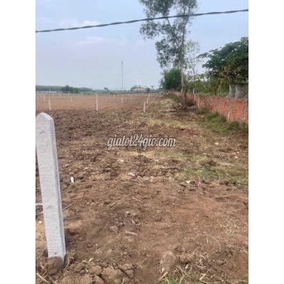 Mua Bán Đất Thị Xã Đông Hòa - Phú Yên Nắm Bắt Thời Điểm Đầu Tư Cần Bán 1000m2 Sơn Hòa -phú Yên Giá 480trieu Mua Bán Đất Thị Xã Đông Hòa - Phú Yên Nắm Bắt Thời Điểm Đầu Tư Cần Bán 1000m2 Sơn Hòa -phú Yên Giá 480trieu