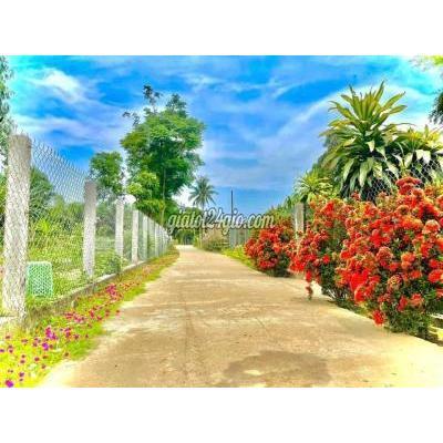 Mua Bán Đất Huyện Đại Lộc - Quảng Nam Chỉ Cần Trả Trước 150tr Sở Hữu Đại Quảng-đại Lộc Mua Bán Đất Huyện Đại Lộc - Quảng Nam Chỉ Cần Trả Trước 150tr Sở Hữu Đại Quảng-đại Lộc