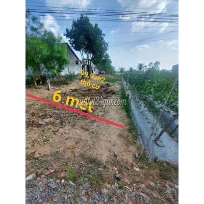 Mua Bán Đất Thành Phố Sóc Trăng - Sóc Trăng Mặt Tiền Đường Trương Vĩnh Ký P7 Tp Sóc Trăng. Lộ Nhựa Xe Tải. Tặn Mua Bán Đất Thành Phố Sóc Trăng - Sóc Trăng Mặt Tiền Đường Trương Vĩnh Ký P7 Tp Sóc Trăng. Lộ Nhựa Xe Tải. Tặn