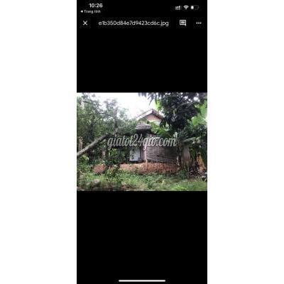 Mua Bán Đất Huyện Mộc Châu - Sơn La Bán 8000 M2 Có 800 Thổ Cư , Thị Trấn Mộc Châu Sơn La . Mua Bán Đất Huyện Mộc Châu - Sơn La Bán 8000 M2 Có 800 Thổ Cư , Thị Trấn Mộc Châu Sơn La .