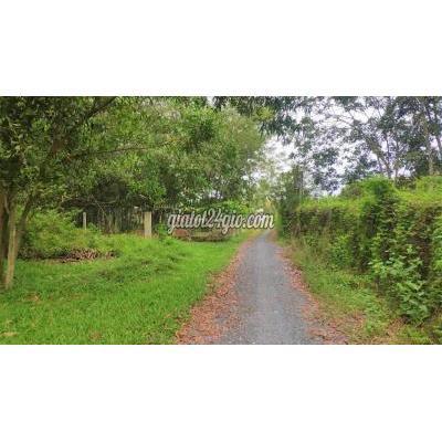 Mua Bán Đất Huyện Trảng Bàng - Tây Ninh 10*33m2 Luk-giá Rẻ1,6tr/m2-cặp Hông Kcn Phước Đông Mua Bán Đất Huyện Trảng Bàng - Tây Ninh 10*33m2 Luk-giá Rẻ1,6tr/m2-cặp Hông Kcn Phước Đông
