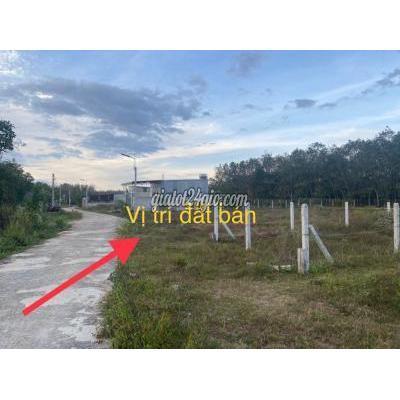 Mua Bán Đất Huyện Gò Dầu - Tây Ninh Bán Lô Đất Dt:5x47m Nằm Trong Khu Đông Dân Cư Tại Hiệp Thạnh - Gò Dầu Mua Bán Đất Huyện Gò Dầu - Tây Ninh Bán Lô Đất Dt:5x47m Nằm Trong Khu Đông Dân Cư Tại Hiệp Thạnh - Gò Dầu