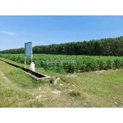 mua bán đất huyện bến cầu - tây ninh đất 3,5 công mặt tiền đường nhựa, long phước, bến cầu