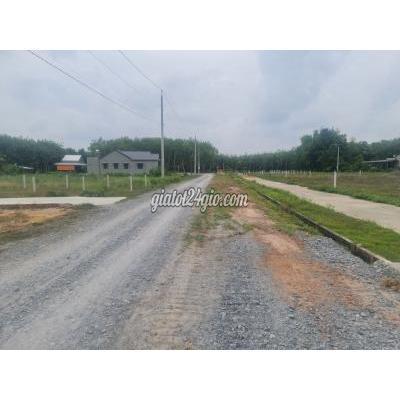 Mua Bán Đất Huyện Gò Dầu - Tây Ninh Đất Cạnh Kcn Phước Đông 143m2 Full Thổ Cư,sổ Sẵn.có Ngân Hàng Hỗ Trợ. Mua Bán Đất Huyện Gò Dầu - Tây Ninh Đất Cạnh Kcn Phước Đông 143m2 Full Thổ Cư,sổ Sẵn.có Ngân Hàng Hỗ Trợ.
