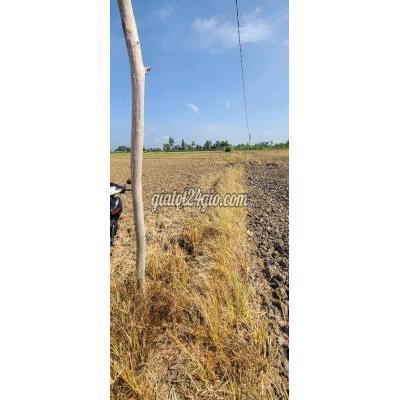 Mua Bán Đất Huyện Gò Công Tây - Tiền Giang Đất Đồng Sơn Kênh Rạch Kiến Mua Bán Đất Huyện Gò Công Tây - Tiền Giang Đất Đồng Sơn Kênh Rạch Kiến