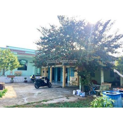 Mua Bán Đất Huyện Gò Công Đông - Tiền Giang Vườn Nhãn Có Nhà Nghỉ Dưỡng Ngay Kdl Biển Tân Thành Mua Bán Đất Huyện Gò Công Đông - Tiền Giang Vườn Nhãn Có Nhà Nghỉ Dưỡng Ngay Kdl Biển Tân Thành