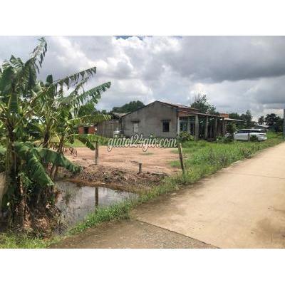 Mua Bán Đất Huyện Tân Phú Đông - Tiền Giang Bán 1286 M2 Đất Thổ Sổ Hồng Mặt Đường Xe Hơi Tỉnh Tiền Giang Mua Bán Đất Huyện Tân Phú Đông - Tiền Giang Bán 1286 M2 Đất Thổ Sổ Hồng Mặt Đường Xe Hơi Tỉnh Tiền Giang