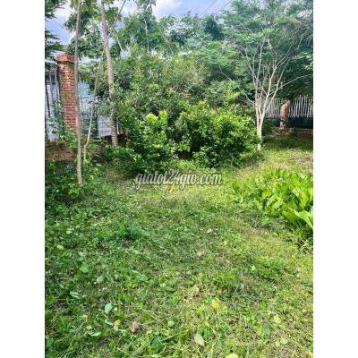 Mua Bán Đất Huyện Bình Chánh - Hồ Chí Minh Đất Vườn Tân Quý Tây Mua Bán Đất Huyện Bình Chánh - Hồ Chí Minh Đất Vườn Tân Quý Tây