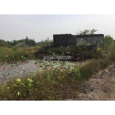 mua bán đất thành phố thủ đức - hồ chí minh bán đất vườn 2723m2 đườngtam đa tp thủ đức
