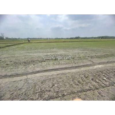 Mua Bán Đất Huyện Củ Chi - Hồ Chí Minh Giảm Giá Mảnh Vườn Đẹp 500m2 (chiều Ngang 20m, Dài 26m) Mua Bán Đất Huyện Củ Chi - Hồ Chí Minh Giảm Giá Mảnh Vườn Đẹp 500m2 (chiều Ngang 20m, Dài 26m)