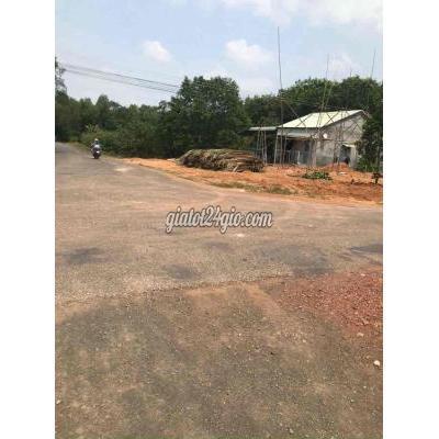 Mua Bán Đất Thành Phố Thủ Đức - Hồ Chí Minh Chị Gái Cần Bán Lô Đất Thanh Lý Mua Bán Đất Thành Phố Thủ Đức - Hồ Chí Minh Chị Gái Cần Bán Lô Đất Thanh Lý