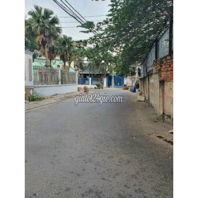 mua bán đất thành phố thủ đức - hồ chí minh | bán đất ngay ngã tư bình thái _ p trường ... mua bán đất thành phố thủ đức - hồ chí minh | bán đất ngay ngã tư bình thái _ p trường ...