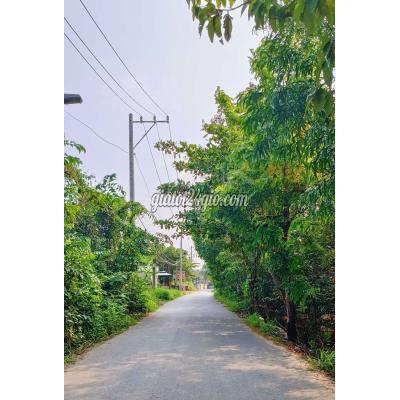 Mua Bán Đất Thành Phố Thủ Đức - Hồ Chí Minh Bán 1075m2 Đất Thổ Cư, 2mt (30m - 36m) Đẹp, Rẻ! Mua Bán Đất Thành Phố Thủ Đức - Hồ Chí Minh Bán 1075m2 Đất Thổ Cư, 2mt (30m - 36m) Đẹp, Rẻ!