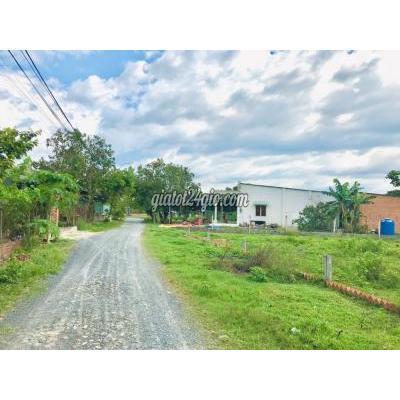 Mua Bán Đất Huyện Củ Chi - Hồ Chí Minh Cần Bán Gấp Lô Đất Góc 2 Mặt Tiền Đường 12m, Sổ Hồng Riêng, Thổ Cư Mua Bán Đất Huyện Củ Chi - Hồ Chí Minh Cần Bán Gấp Lô Đất Góc 2 Mặt Tiền Đường 12m, Sổ Hồng Riêng, Thổ Cư