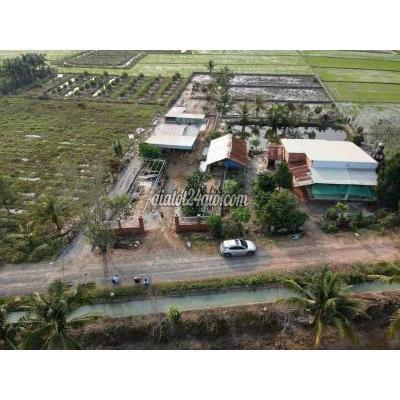 Mua Bán Đất Huyện Củ Chi - Hồ Chí Minh Đất Vườn Đường Oto View Kênh 576 M2, Cách Thị Trấn Củ Chi 1km, 1 Tỷ275 Mua Bán Đất Huyện Củ Chi - Hồ Chí Minh Đất Vườn Đường Oto View Kênh 576 M2, Cách Thị Trấn Củ Chi 1km, 1 Tỷ275