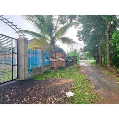 Mua Bán Đất Huyện Hóc Môn - Hồ Chí Minh Chính Chủ Cần Bán Gấp Lô Đất Vườn 1058m2 Đường Nguyễn Thị Đành Mua Bán Đất Huyện Hóc Môn - Hồ Chí Minh Chính Chủ Cần Bán Gấp Lô Đất Vườn 1058m2 Đường Nguyễn Thị Đành