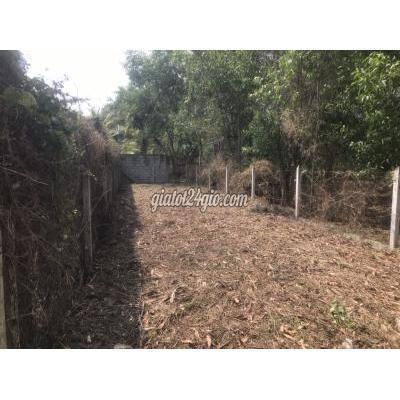 Mua Bán Đất Huyện Củ Chi - Hồ Chí Minh Chính Chủ Bán Đắt Mặt Tiền Nguyễn Thị Châu Phú Hòa Đông Củ Chi Mua Bán Đất Huyện Củ Chi - Hồ Chí Minh Chính Chủ Bán Đắt Mặt Tiền Nguyễn Thị Châu Phú Hòa Đông Củ Chi