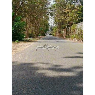 Mua Bán Đất Huyện Củ Chi - Hồ Chí Minh 346m2 1 Sẹc Ngắn Quốc Lộ 22, Tân An Hội, Chỉ 1.9 Tỷ Mua Bán Đất Huyện Củ Chi - Hồ Chí Minh 346m2 1 Sẹc Ngắn Quốc Lộ 22, Tân An Hội, Chỉ 1.9 Tỷ