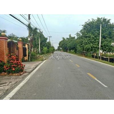 mua bán đất huyện hóc môn - hồ chí minh chính chủ bán lô đất vườn 600m2 mặt tiền đường thanh niên
