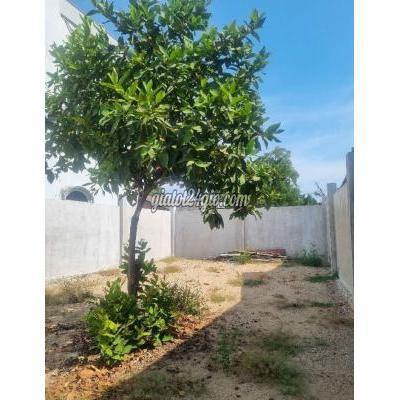 Mua Bán Đất Huyện Bình Chánh - Hồ Chí Minh Kẹt Tiền Đt, Chỉ 1,69ty Sở Hữu Lô Đất 9x28 Mt Nhựa 10m, B.chánh Mua Bán Đất Huyện Bình Chánh - Hồ Chí Minh Kẹt Tiền Đt, Chỉ 1,69ty Sở Hữu Lô Đất 9x28 Mt Nhựa 10m, B.chánh