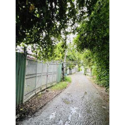 Mua Bán Đất Huyện Hóc Môn - Hồ Chí Minh Bán Đất Hóc Môn Giá Rẻ Mua Bán Đất Huyện Hóc Môn - Hồ Chí Minh Bán Đất Hóc Môn Giá Rẻ