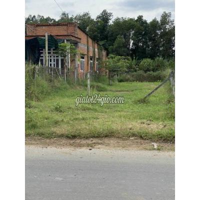 Mua Bán Đất Huyện Củ Chi - Hồ Chí Minh Bán Gấp Đất Mt Đường Nhựa Tỉnh Lộ 2 Trung Lập Hạ Mua Bán Đất Huyện Củ Chi - Hồ Chí Minh Bán Gấp Đất Mt Đường Nhựa Tỉnh Lộ 2 Trung Lập Hạ