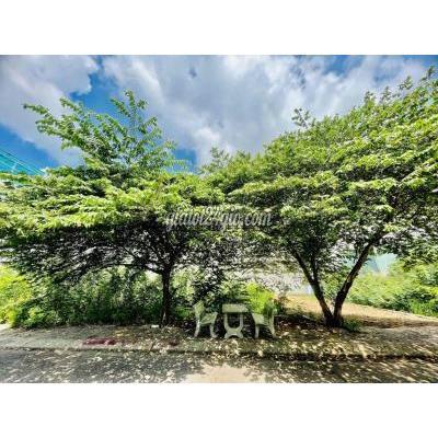 Mua Bán Đất Thành Phố Thủ Đức - Hồ Chí Minh Thu Hồi Vốn Bán Lô Đất Đẹp Bằng Giá 2 Năm Trước Mua Bán Đất Thành Phố Thủ Đức - Hồ Chí Minh Thu Hồi Vốn Bán Lô Đất Đẹp Bằng Giá 2 Năm Trước