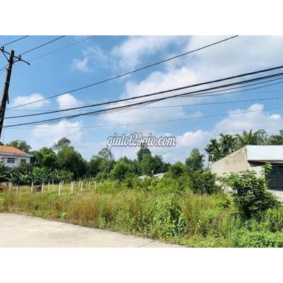 Mua Bán Đất Huyện Củ Chi - Hồ Chí Minh Đất Thổ Cư, 120m2 Đường Bê Tông 8m, Tân An Hội, Sổ Hồng Riêng, 880tr Mua Bán Đất Huyện Củ Chi - Hồ Chí Minh Đất Thổ Cư, 120m2 Đường Bê Tông 8m, Tân An Hội, Sổ Hồng Riêng, 880tr