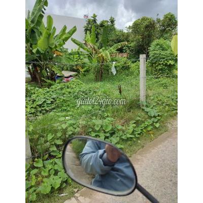 mua bán đất huyện bình chánh - hồ chí minh | đất quy đức bình chánh, sổ hồng, đông ...