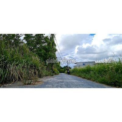 Mua Bán Đất Huyện Bình Chánh - Hồ Chí Minh Đất Fuf Thổ Ngộp Thở Mua Bán Đất Huyện Bình Chánh - Hồ Chí Minh Đất Fuf Thổ Ngộp Thở