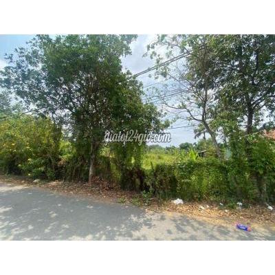 mua bán đất huyện củ chi - hồ chí minh | bán đất nền ven sông xã bình ...