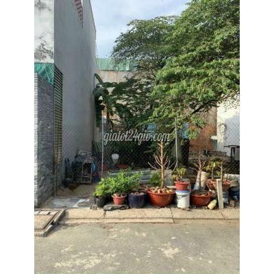 Mua Bán Đất Quận 12 - Hồ Chí Minh Bán Đất Hẻm Vip Hà Huy Giáp Mua Bán Đất Quận 12 - Hồ Chí Minh Bán Đất Hẻm Vip Hà Huy Giáp