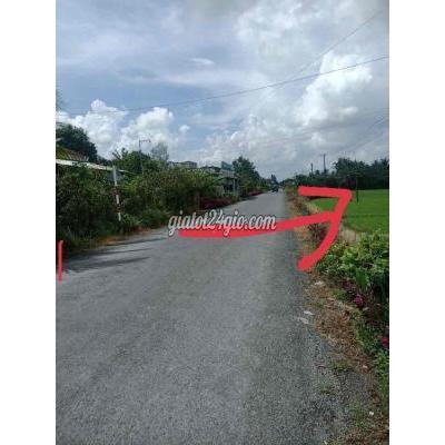 Mua Bán Đất Huyện Tam Bình - Vĩnh Long 18c Mặt Tiền 200m Đường Tỉnh 905 (lộ 16) Chuyển Mục Đích Được Mua Bán Đất Huyện Tam Bình - Vĩnh Long 18c Mặt Tiền 200m Đường Tỉnh 905 (lộ 16) Chuyển Mục Đích Được