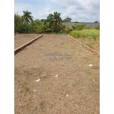 Mua Bán Đất Huyện Long Hồ - Vĩnh Long Bán Đất Thổ Cư X.hòa Phú, H.long Hồ, T.vĩnh Long Mua Bán Đất Huyện Long Hồ - Vĩnh Long Bán Đất Thổ Cư X.hòa Phú, H.long Hồ, T.vĩnh Long