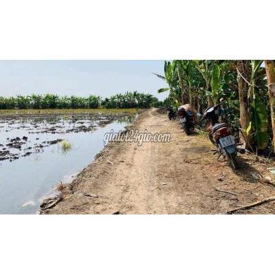 Mua Bán Đất Huyện Bình Tân - Vĩnh Long Bán 707m2 Đất Bình Tân - Vĩnh Long Mua Bán Đất Huyện Bình Tân - Vĩnh Long Bán 707m2 Đất Bình Tân - Vĩnh Long