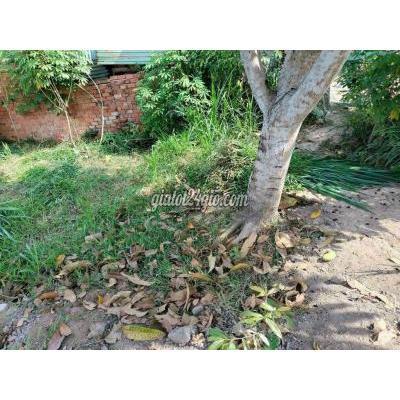 mua bán đất huyện tam bình - vĩnh long | đất mặt lộ nhựa lớn ngãi tứ, tb, vĩnh ...