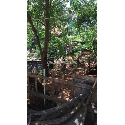 Mua Bán Nhà Ở Thành Phố Buôn Ma Thuột - Đắk Lắk $vừa Nhà Cấp 4 Đất (398m2),tt Phố Giá Nhắm Mắt Mua Để Dành$ Mua Bán Nhà Ở Thành Phố Buôn Ma Thuột - Đắk Lắk $vừa Nhà Cấp 4 Đất (398m2),tt Phố Giá Nhắm Mắt Mua Để Dành$