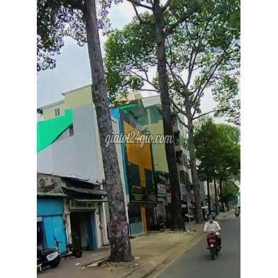 Mua Bán Nhà Ở Quận 11 - Hồ Chí Minh Mặt Tiền Đường 3/2 81m2x4t Chỉ 17t Tl Mua Bán Nhà Ở Quận 11 - Hồ Chí Minh Mặt Tiền Đường 3/2 81m2x4t Chỉ 17t Tl