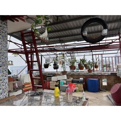 Mua Bán Nhà Ở Quận Tân Bình - Hồ Chí Minh Nhà Hẻm Xe Hơi Trần Văn Quang 5.2x11 Nh 6.1 Giá 7.5 Tỷ Mua Bán Nhà Ở Quận Tân Bình - Hồ Chí Minh Nhà Hẻm Xe Hơi Trần Văn Quang 5.2x11 Nh 6.1 Giá 7.5 Tỷ
