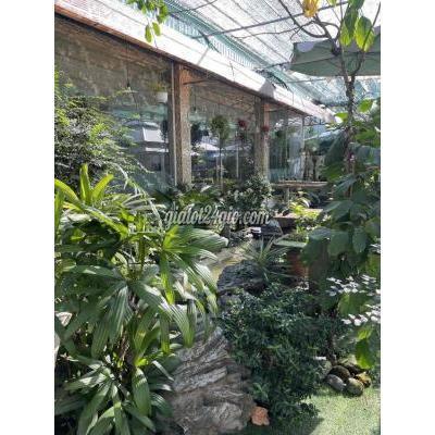 mua bán nhà ở huyện nhà bè - hồ chí minh nhà mt đào sư tích, phước lộc, nhà bè: 14( nh: 21m) x 75m, giá 74,5 ty