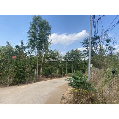 nhà đất cẩm mỹ đồng nai | bán đất 3 mặt tiền...