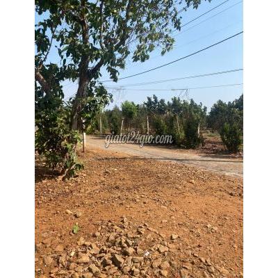 Đất Nền Cẩm Mỹ Đồng Nai Phân Lô Nền 315m2 Thổ Cư 100m2 Mặt Tiền Nhựa Bảo Bình - Xuân Mỹ Đất Nền Cẩm Mỹ Đồng Nai Phân Lô Nền 315m2 Thổ Cư 100m2 Mặt Tiền Nhựa Bảo Bình - Xuân Mỹ