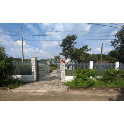 Đất Thổ Cư Phú Giáo - Bình Dương Đất Thổ Cư Phú Giáo - Bình Dương