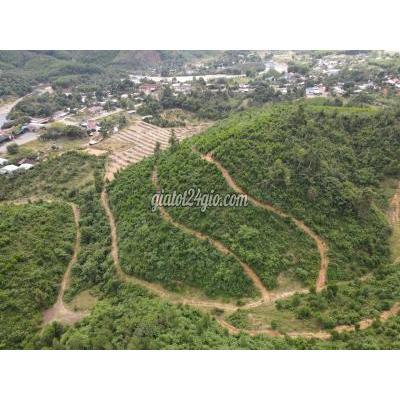 Nhà Đất Hàm Tân Bình Thuận Bán Nguyên Quả Đồi 18ha Bớt Lộc Đầu Năm Cho Anh Chị Quan Tâm Nhà Đất Hàm Tân Bình Thuận Bán Nguyên Quả Đồi 18ha Bớt Lộc Đầu Năm Cho Anh Chị Quan Tâm